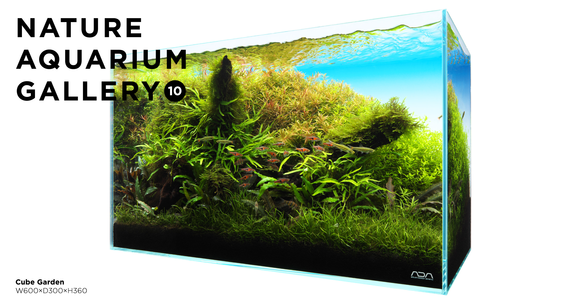 NATURE AQUARIUM GALLERY #10 「SHIBUMI」 | AQUA DESIGN AMANO