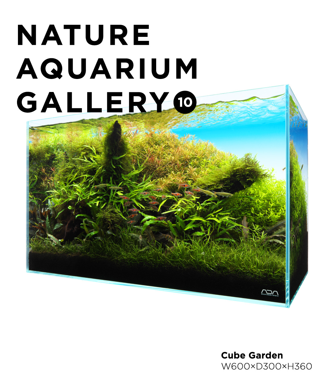 NATURE AQUARIUM GALLERY #10 「SHIBUMI」