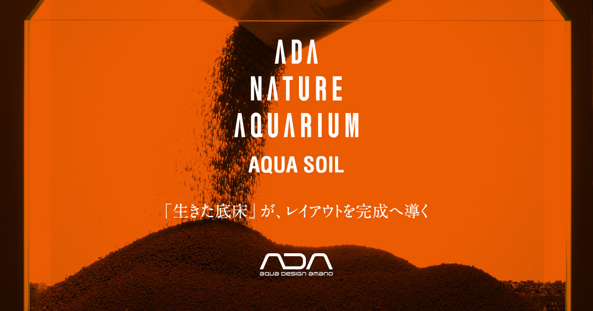 生きた底床」が、レイアウトを完成へ導く | AQUA DESIGN AMANO