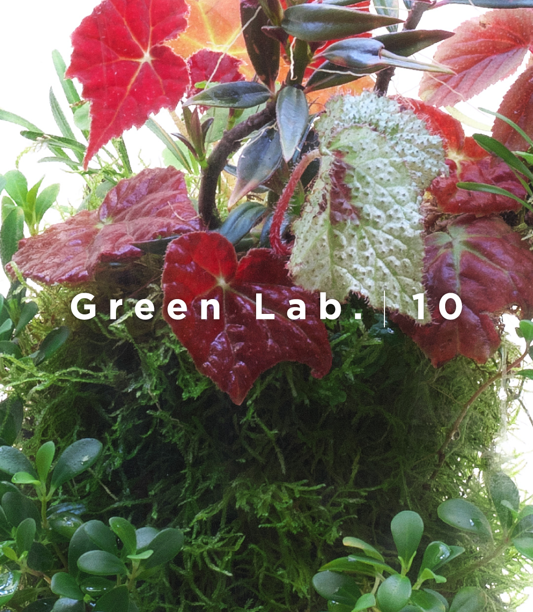 Green Lab. #10 ［ Nature Bouquet ］