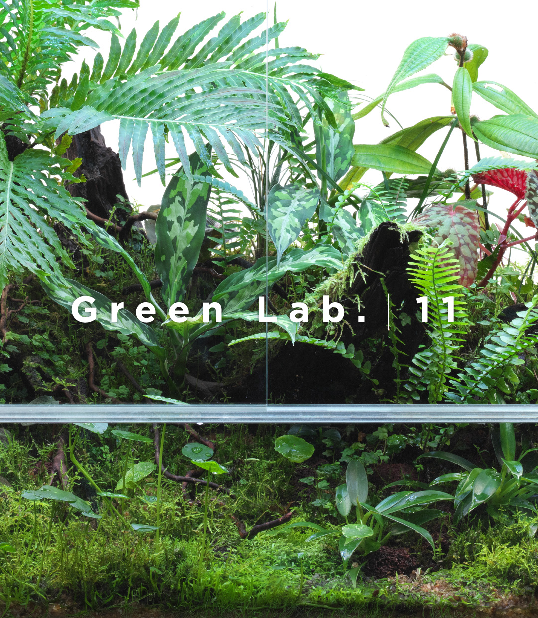 Green Lab. #11 ［ コレクターズ・ジャングル ］