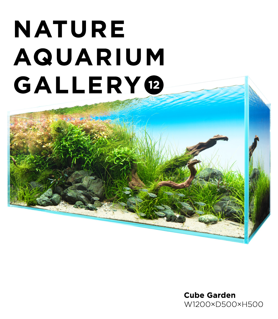 NATURE AQUARIUM GALLERY #12 「流禅」