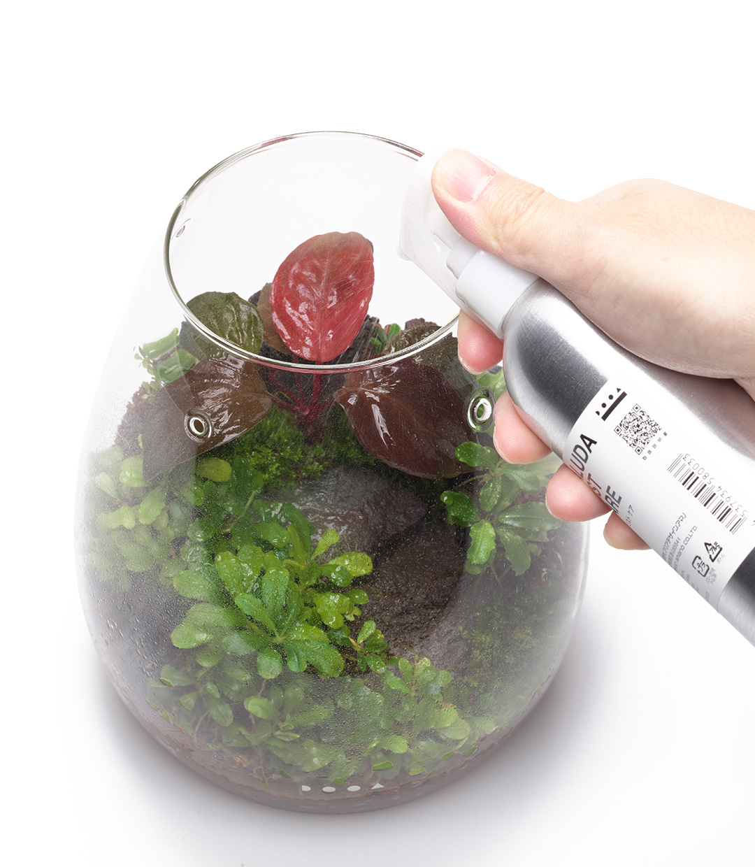 カビを防いで、美しさを保つ「パルダミスト ケア」