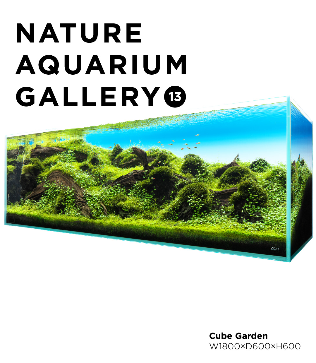 NATURE AQUARIUM GALLERY #13 「フローティング・ウェーブス」