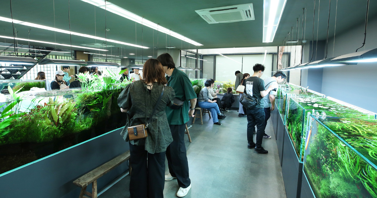 ご来館ありがとうございました NA Gallery – Welcome Day 2026 開催