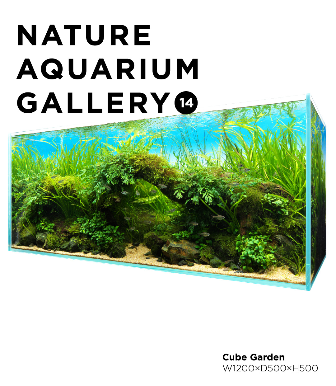 NATURE AQUARIUM GALLERY #14 「森の窓」