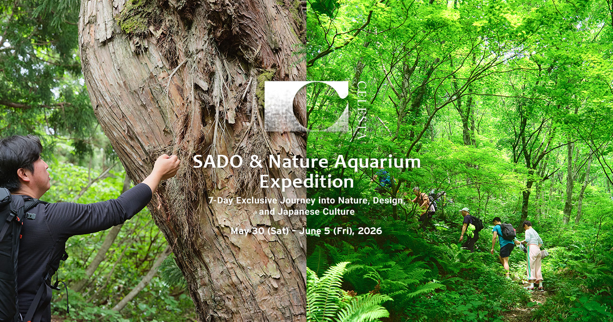 CELESTA SADO & Nature Aquarium Expedition Tour | AQUA DESIGN AMANO