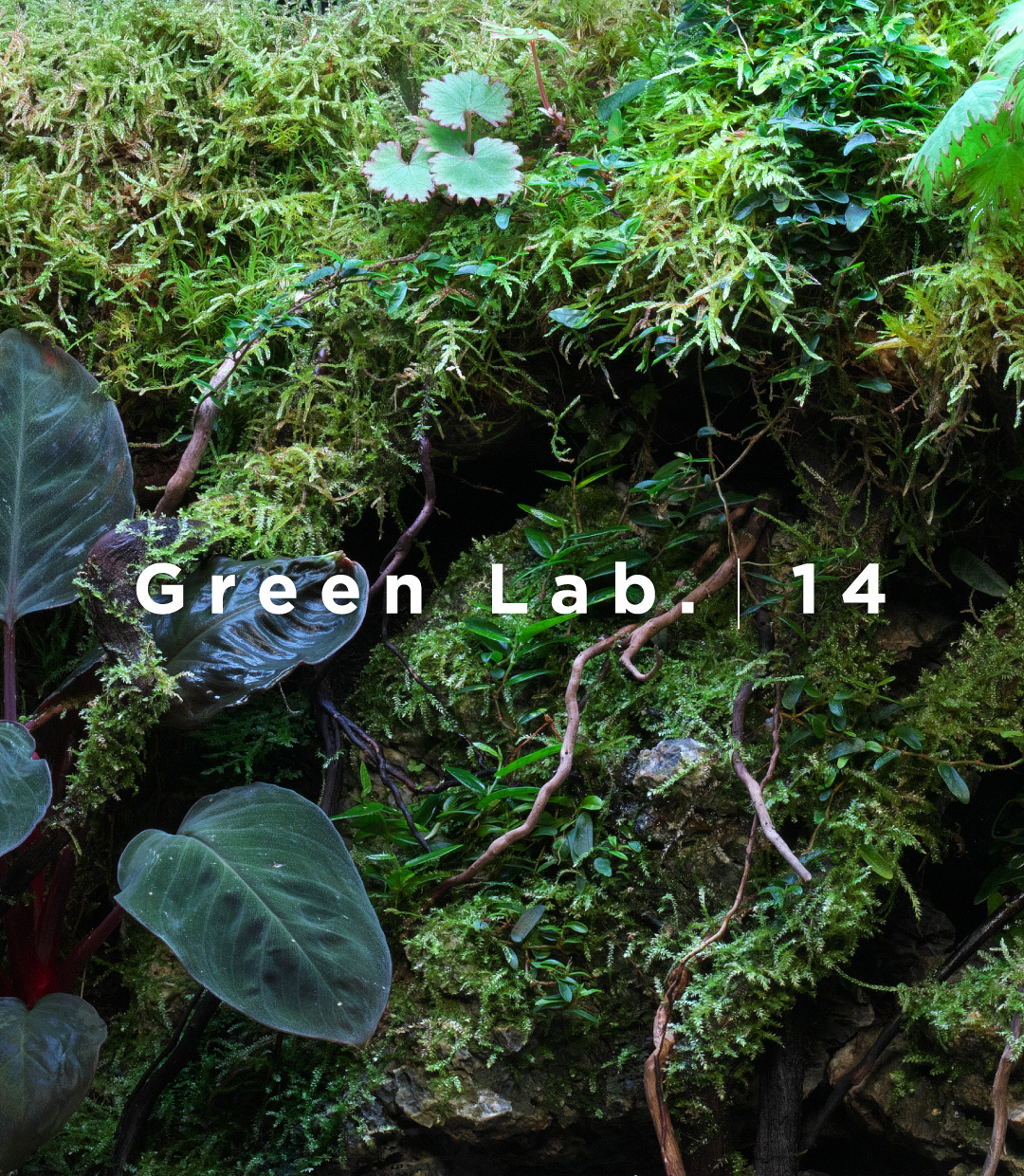Green Lab. #14 ［ 光陰のしらべ ］