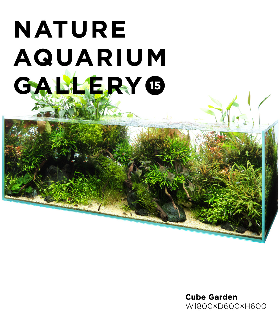 NATURE AQUARIUM GALLERY #15 「浅瀬に集う命たち」