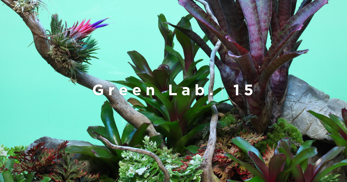 Green Lab. #15 ［ 緋の庭 ］ | AQUA DESIGN AMANO