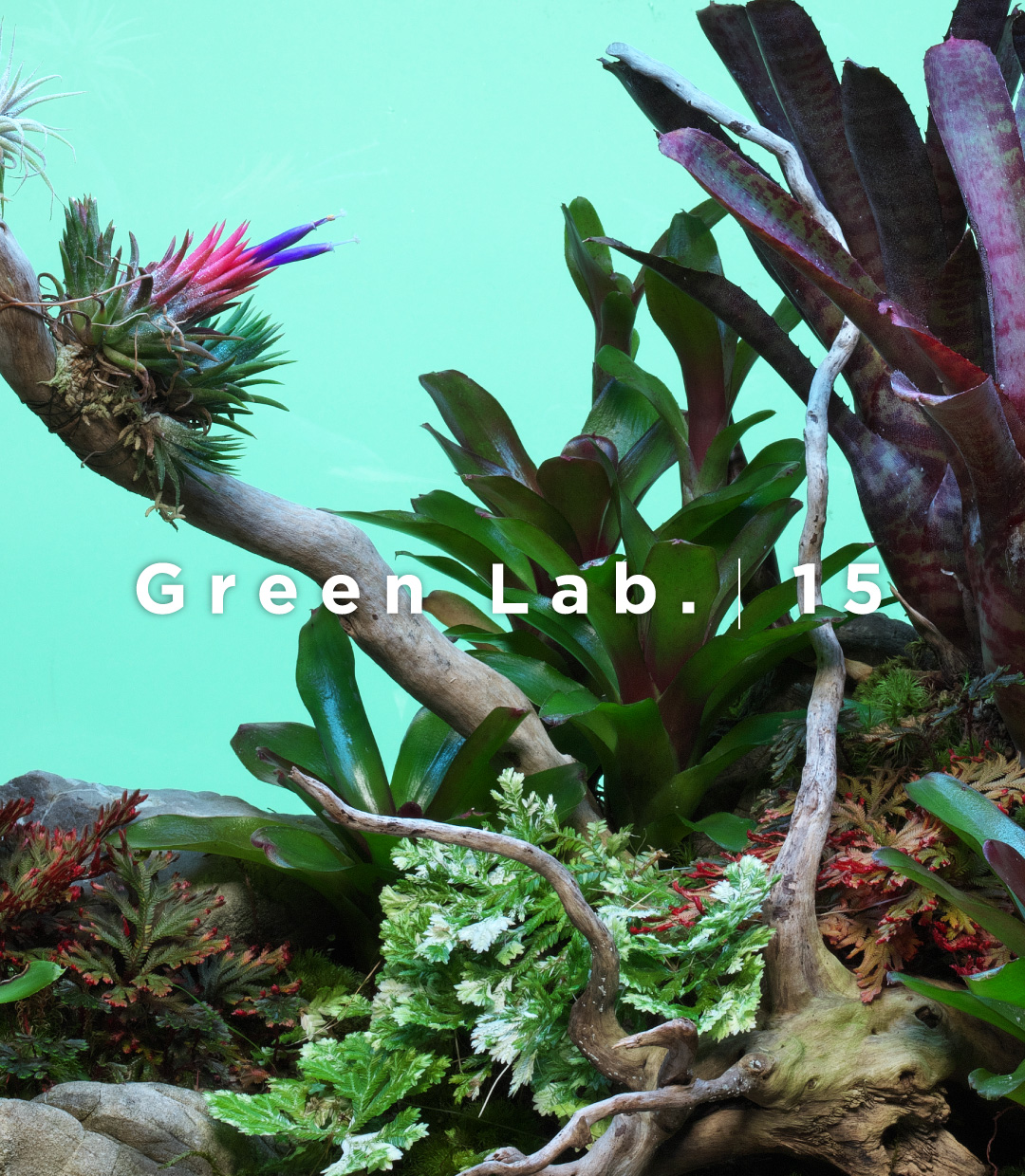 Green Lab. #15 ［ 緋の庭 ］