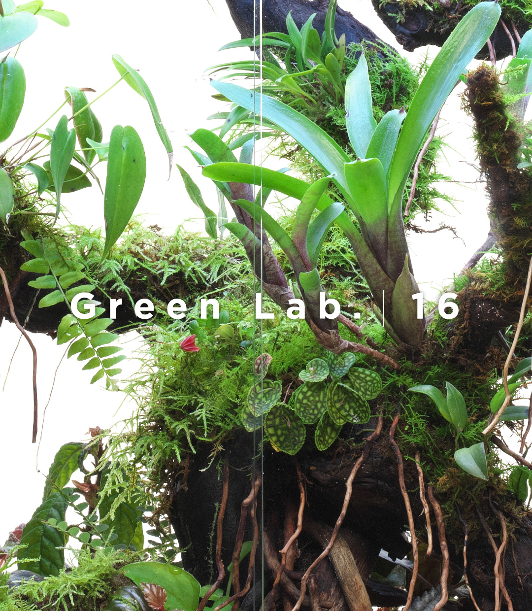 Green Lab. #16 ［ 小さな楽園 ］