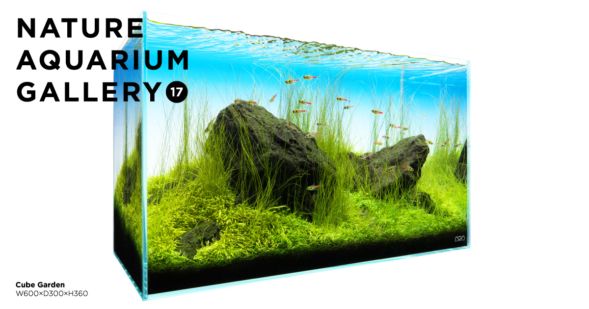 NATURE AQUARIUM GALLERY #17 「翠流」 | AQUA DESIGN AMANO