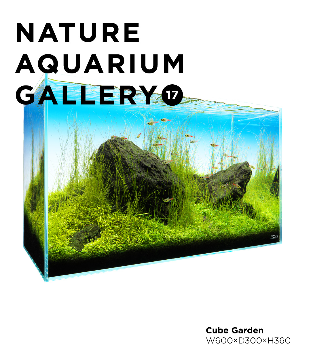 NATURE AQUARIUM GALLERY #17 「翠流」