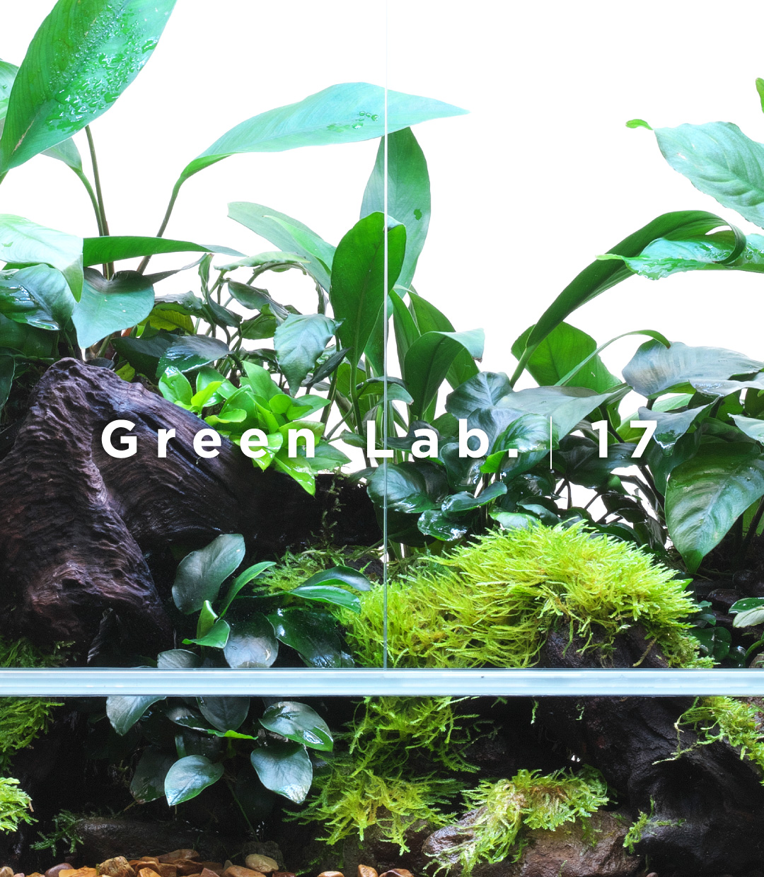 Green Lab. #17 ［ アヌビアス・コレクション ］