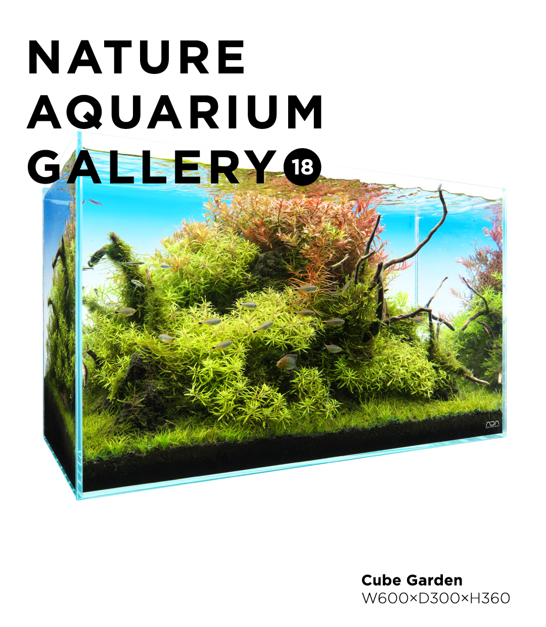 NATURE AQUARIUM GALLERY #18 「Nature’s Grove」