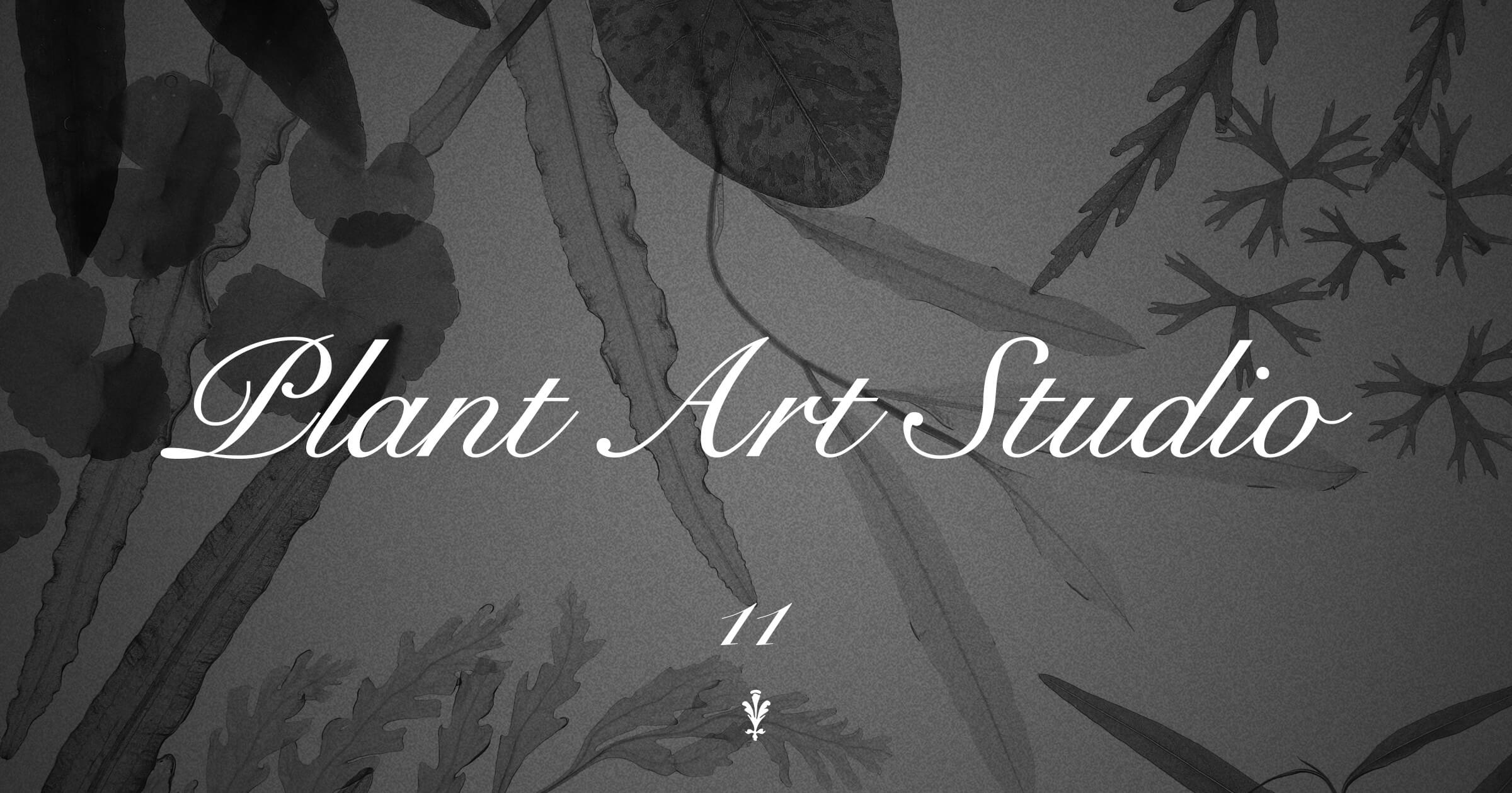 Plant Art Studio #11