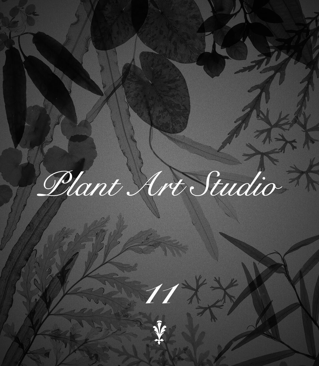 Plant Art Studio #11