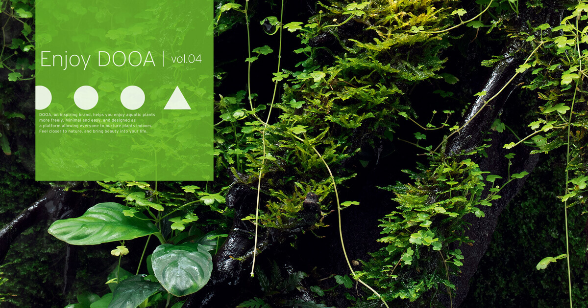 Enjoy DOOA vol.04 ‘SYSTEM TERRA 30’