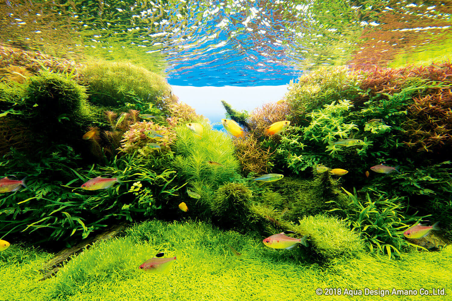 NATURE IN THE GLASS 'Change of Season' | ADA