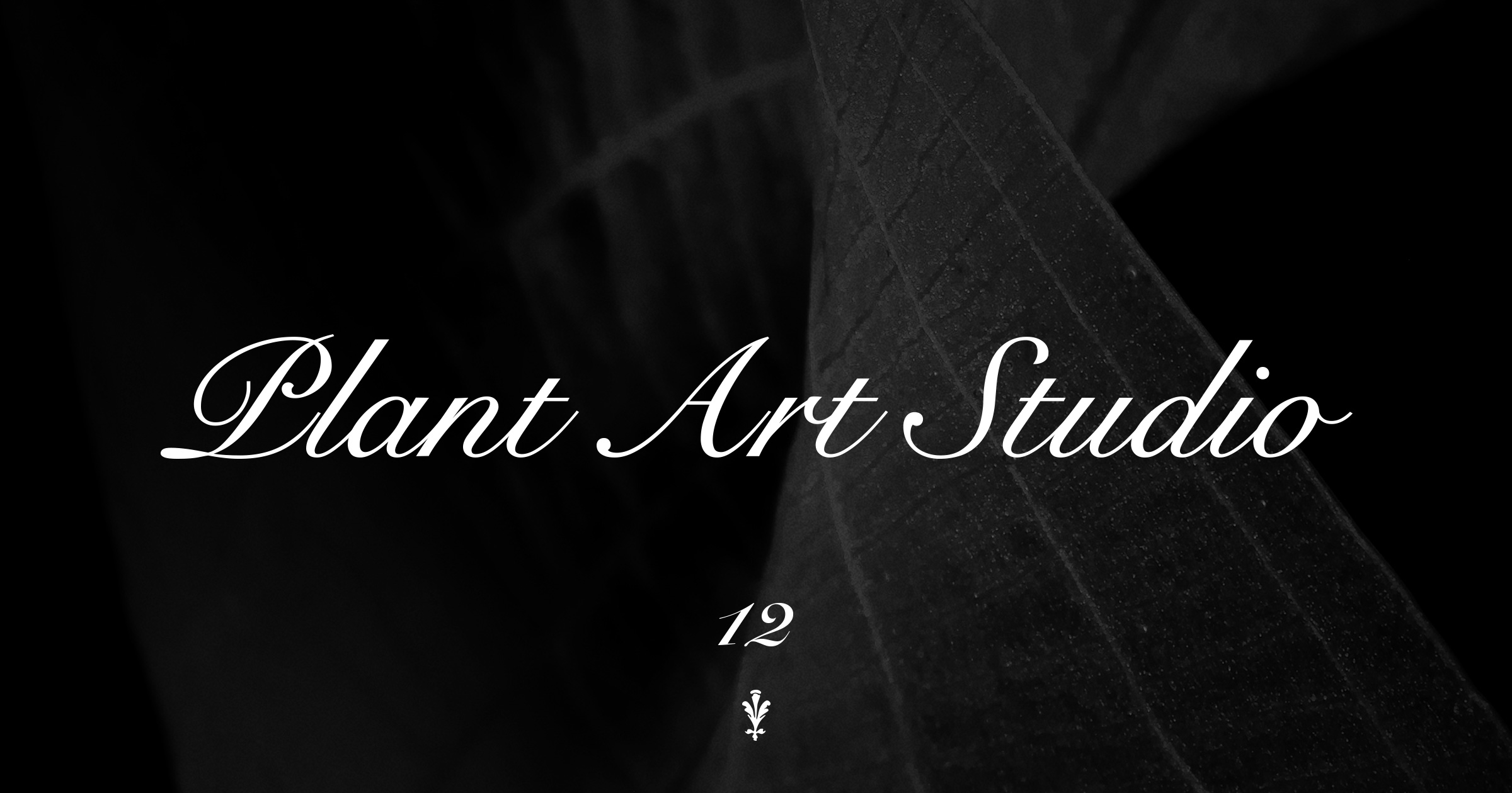 Plant Art Studio #12