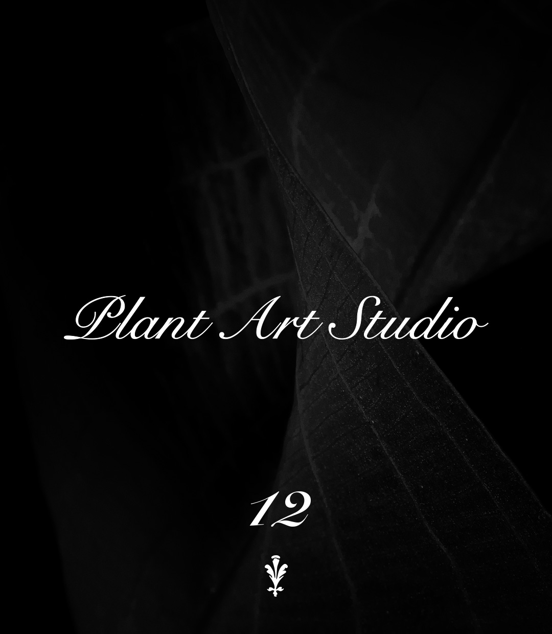 Plant Art Studio #12