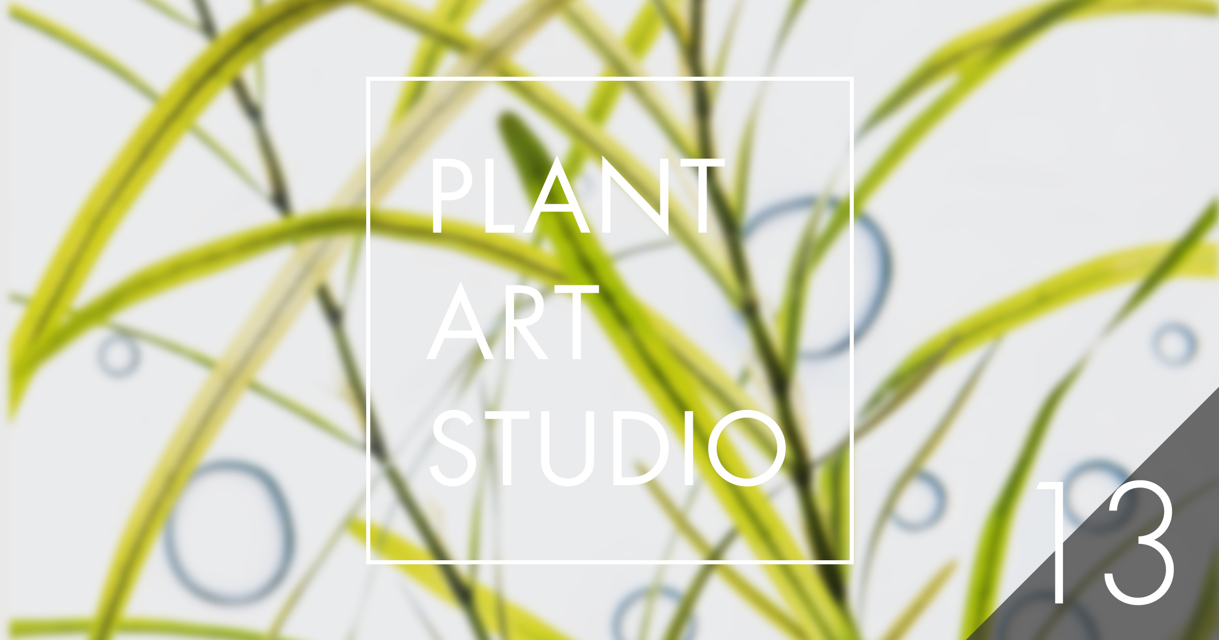 Plant Art Studio #13