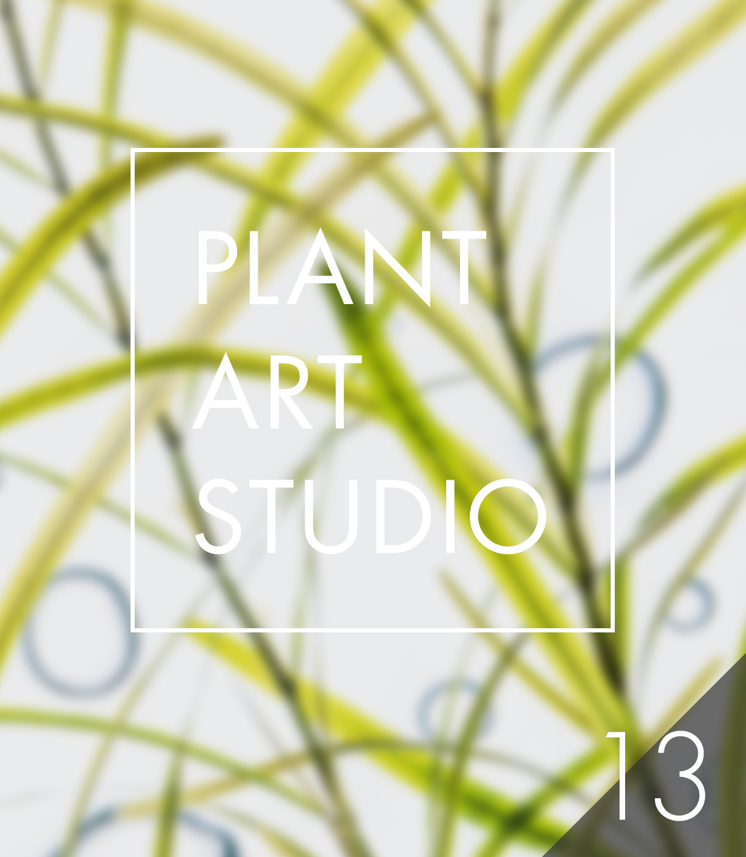 Plant Art Studio #13