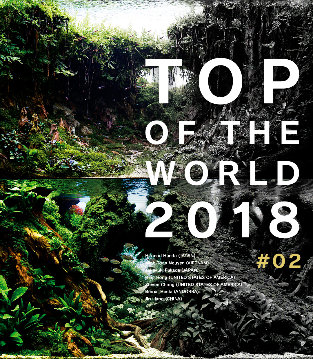 TOP OF THE WORLD 2018 #02