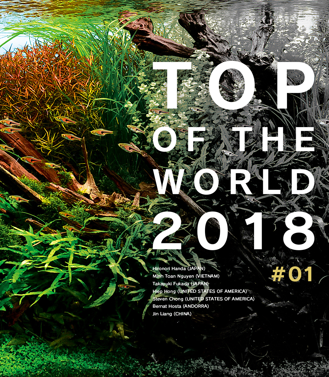 TOP OF THE WORLD 2018 #01