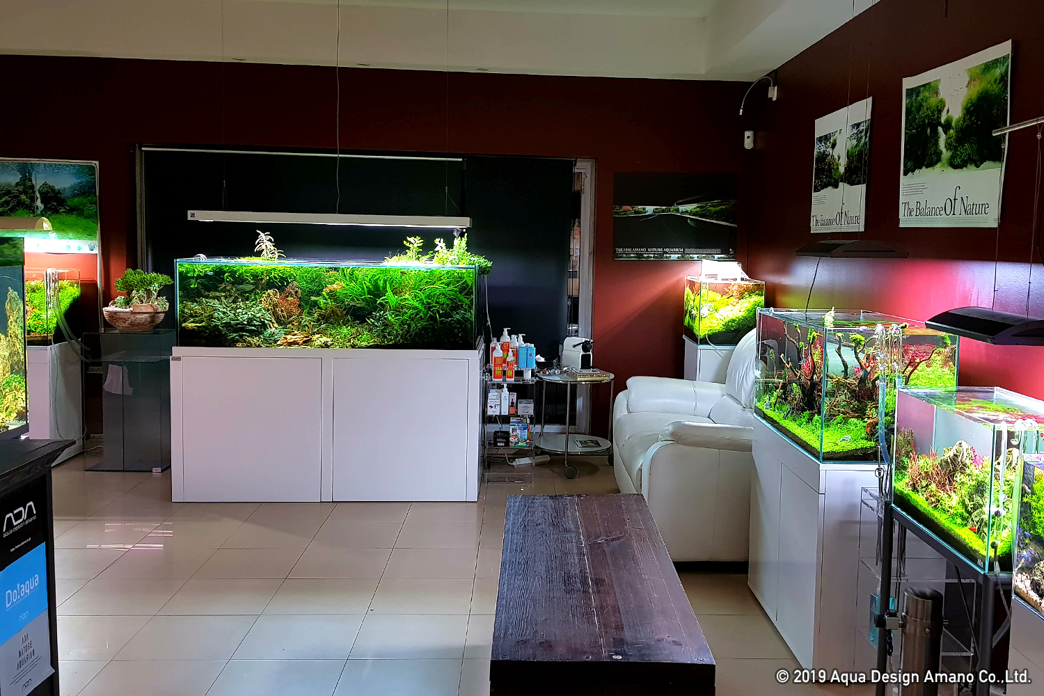 Letter from Lisbon - an aquarium shop in Portugal "AQUAEDEN" - | ADA