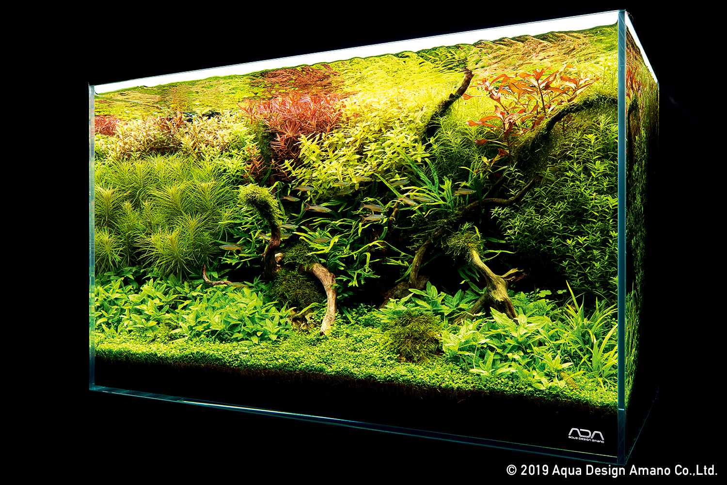 ラウンド マック☆ADA CO2パーツセット Amano Design Aqua 魚用品/水草 ラウンド マック☆ADA CO2パーツセット Amano Design Aqua 魚用品/水草