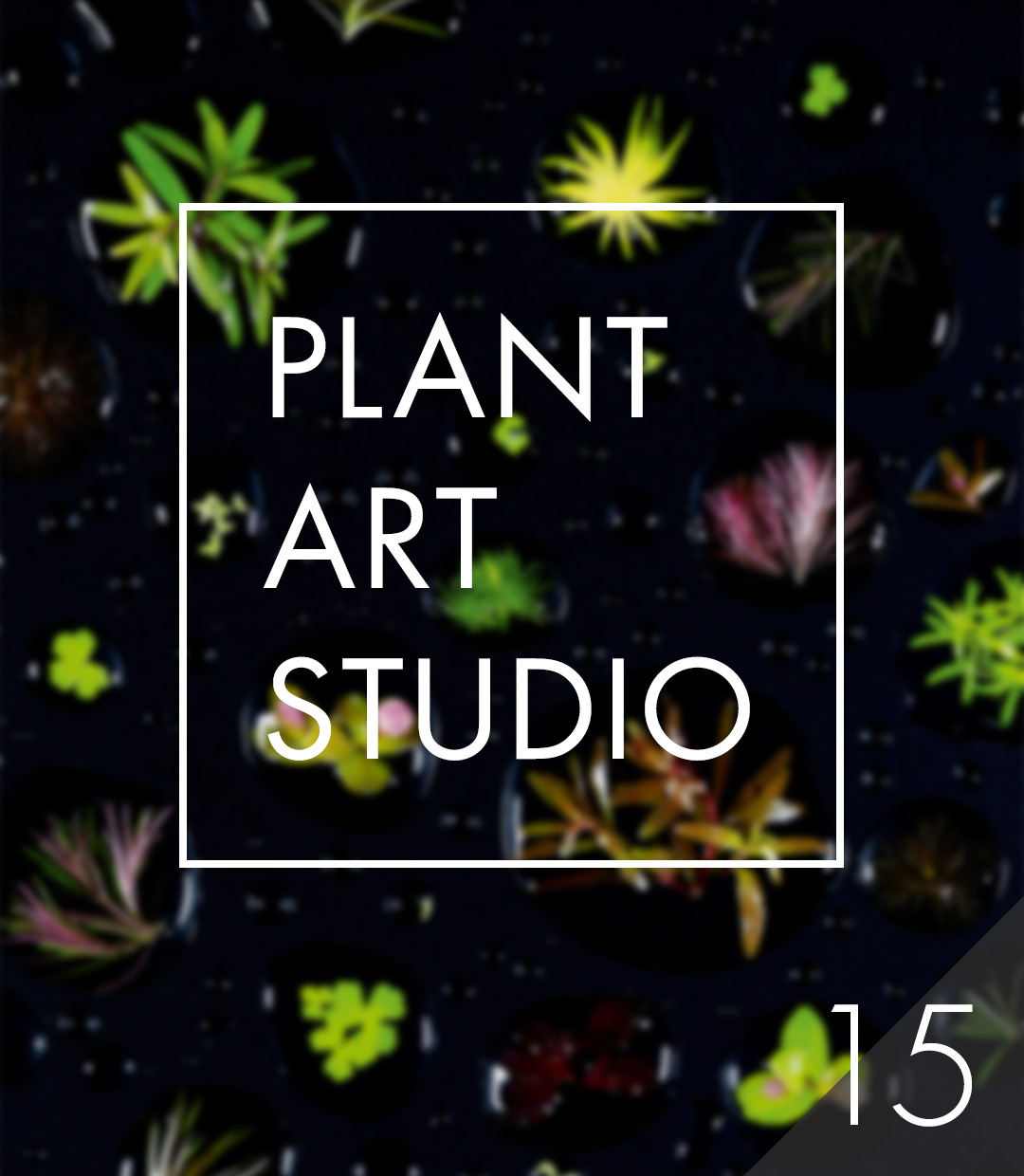 Plant Art Studio #15