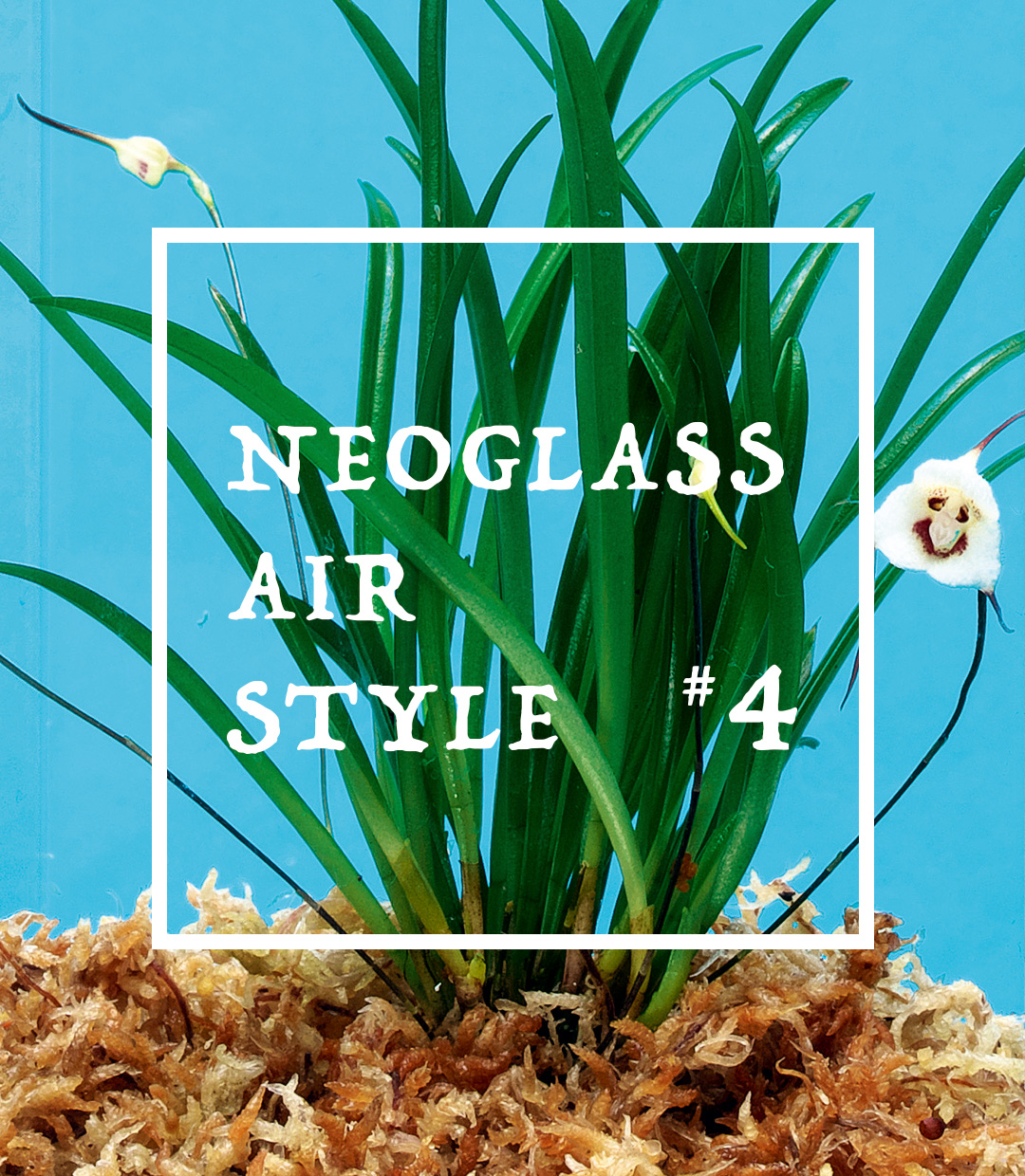 NEOGLASS AIR STYLE #4