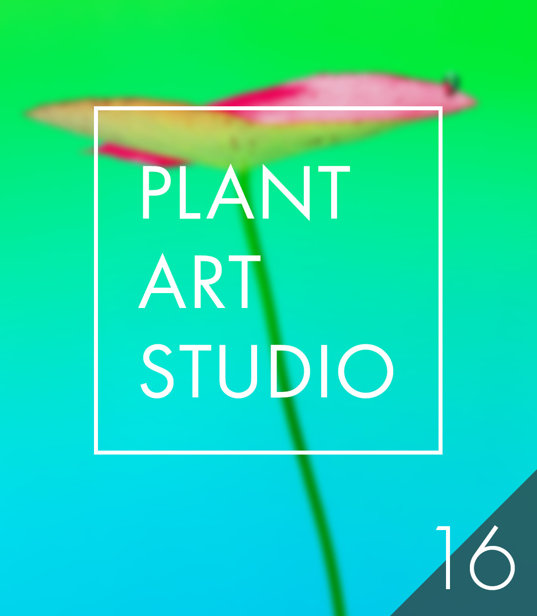 Plant Art Studio #16