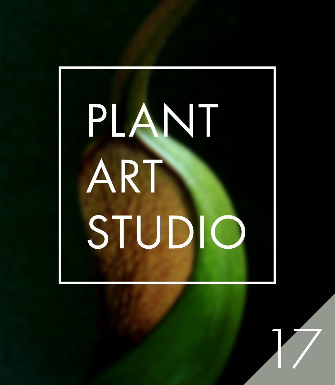 Plant Art Studio #17