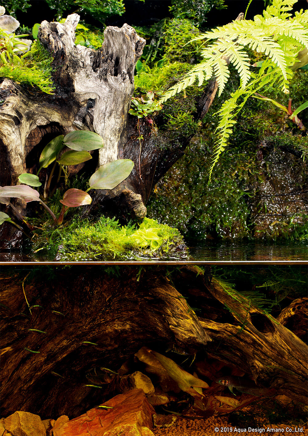 Enjoy DOOA: Expression of black water flowing through Enjoy DOOA: Expression of black water flowing through