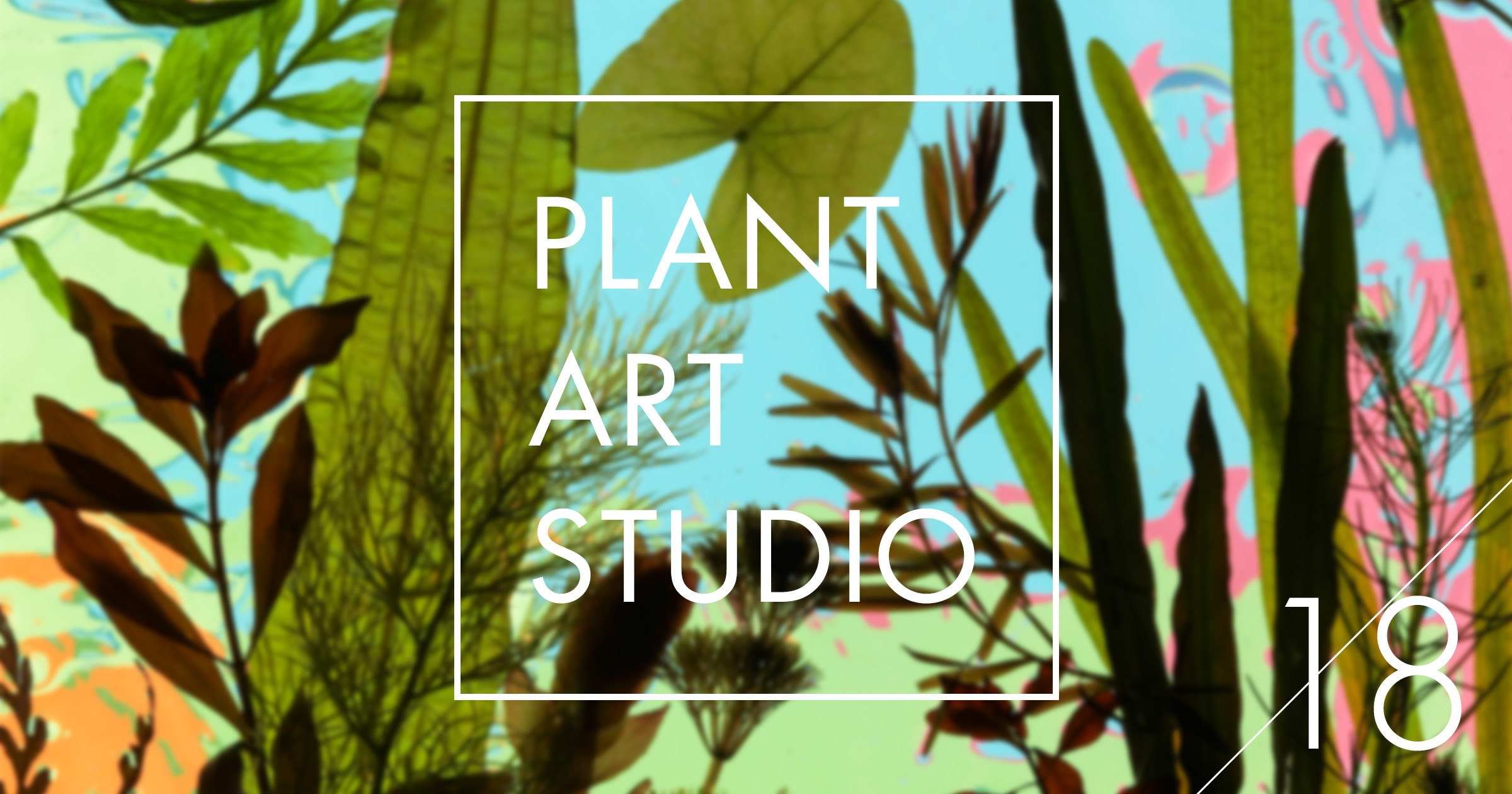 Plant Art Studio #18