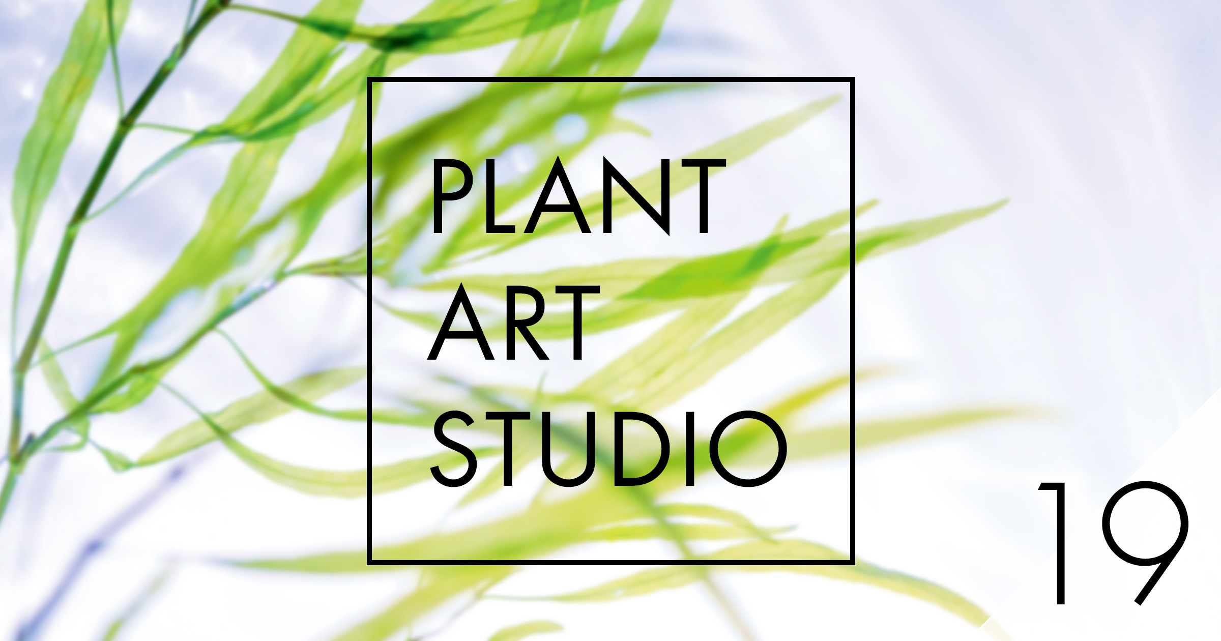 Plant Art Studio #19
