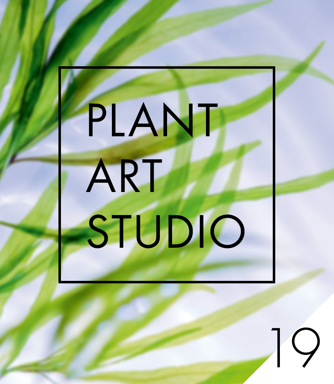 Plant Art Studio #19