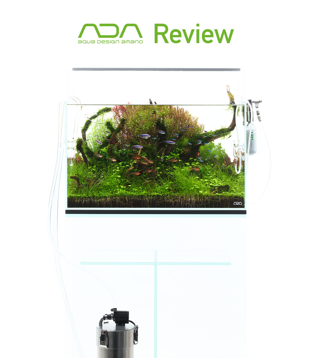 ADA Review ‘Standard W60cm Tank System’