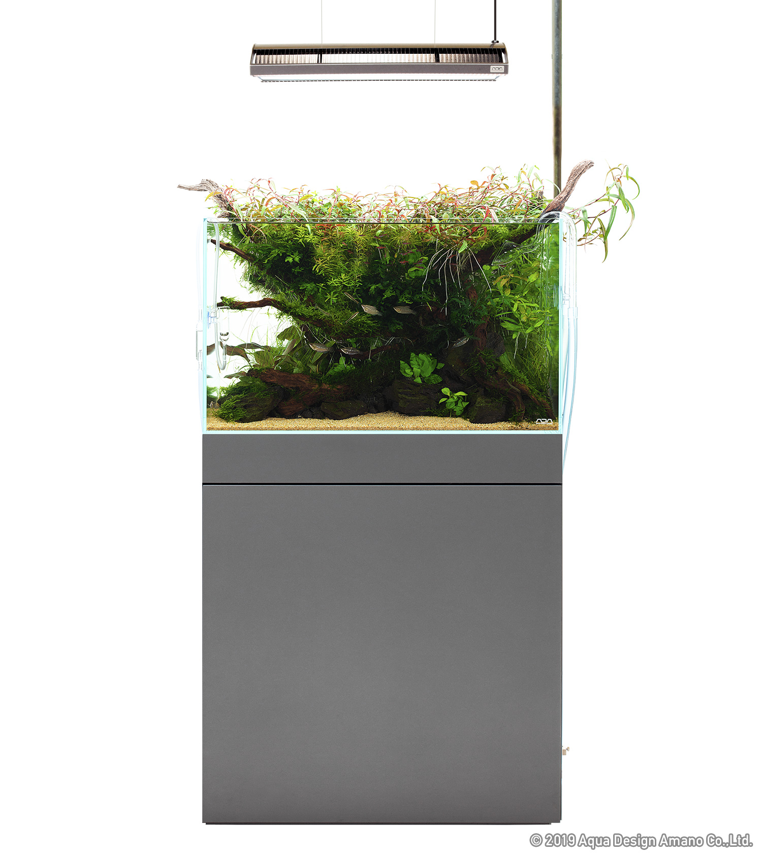 ADA Review 'An Advanced W60cm Tank System' | ADA