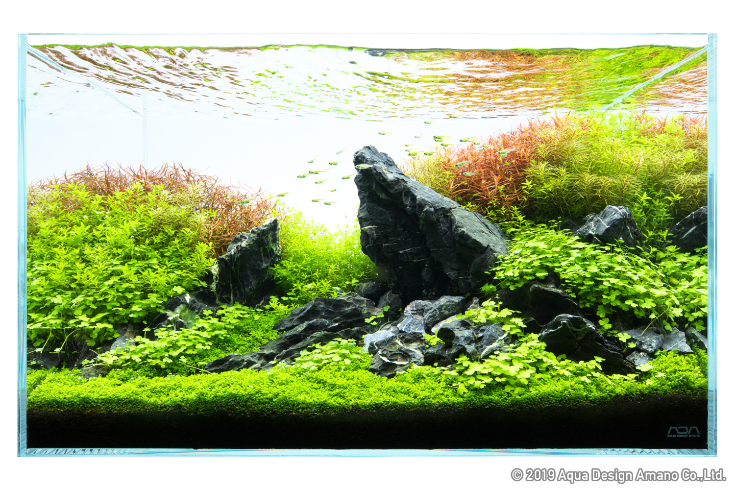 NATURE IN THE GLASS 'Gentle Scenery with Stones' | ADA