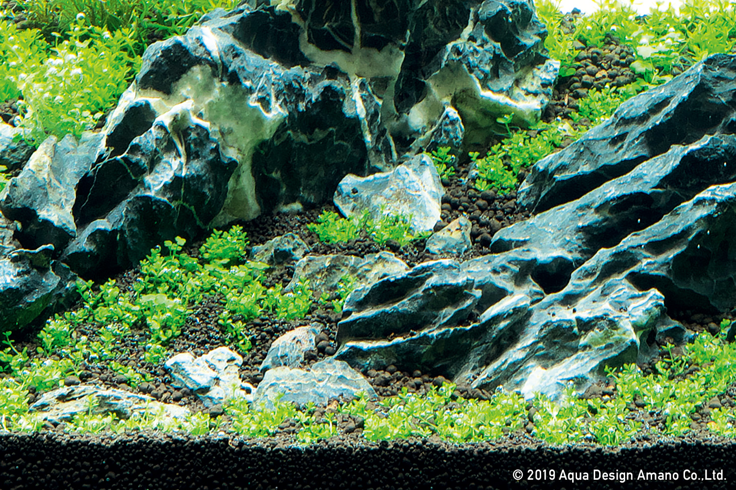 NATURE IN THE GLASS 'Gentle Scenery with Stones' | ADA