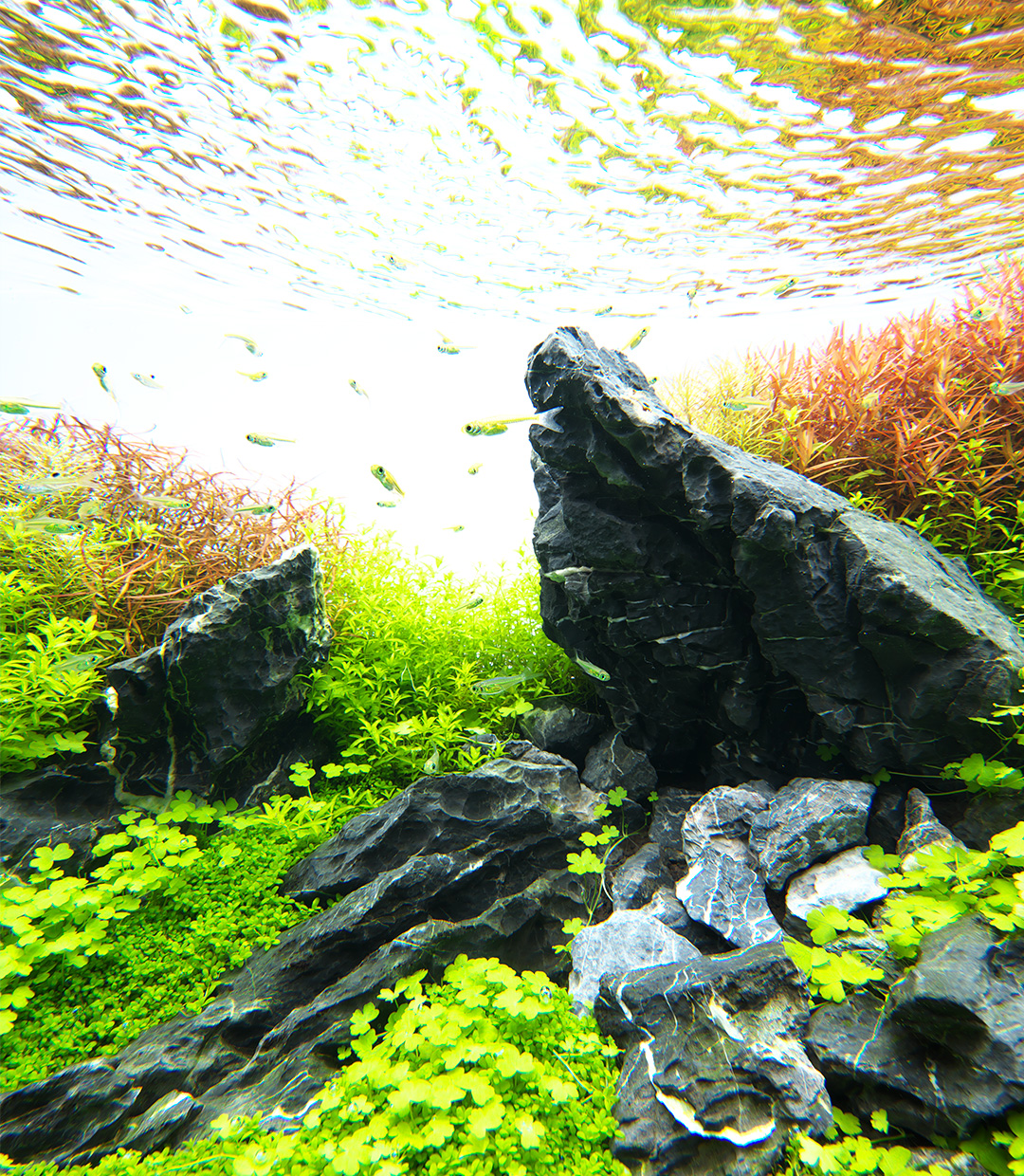 NATURE IN THE GLASS ‘Gentle Scenery with Stones’