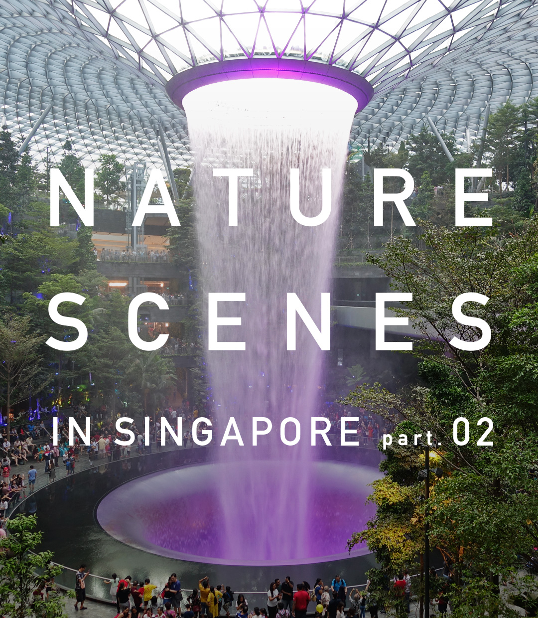 Aquatic plant affairs in the world’s greenest city, Singapore – Extra Edition –