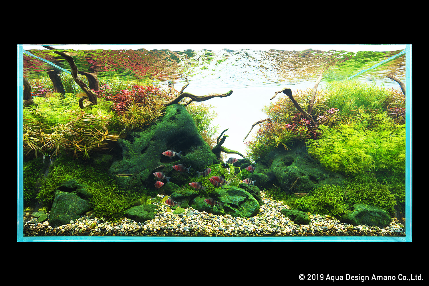 Nature In The Glass Autumn Foliage Underwater Fall In Japan Part 1 Ada