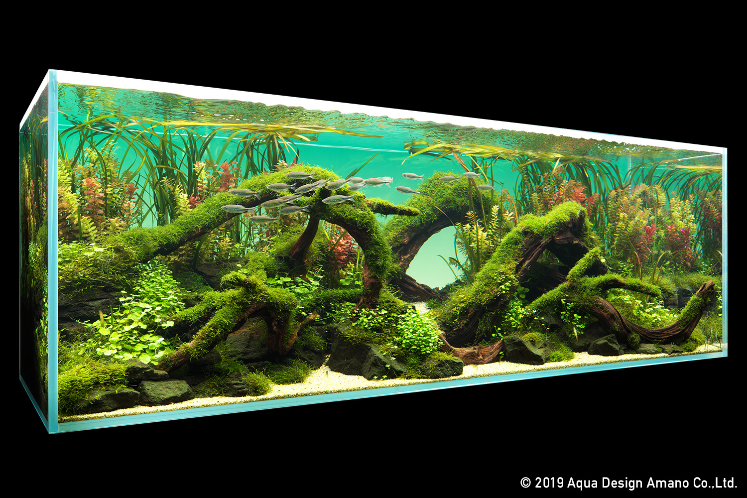 ADA Drop Checker – Aqua Forest Aquarium