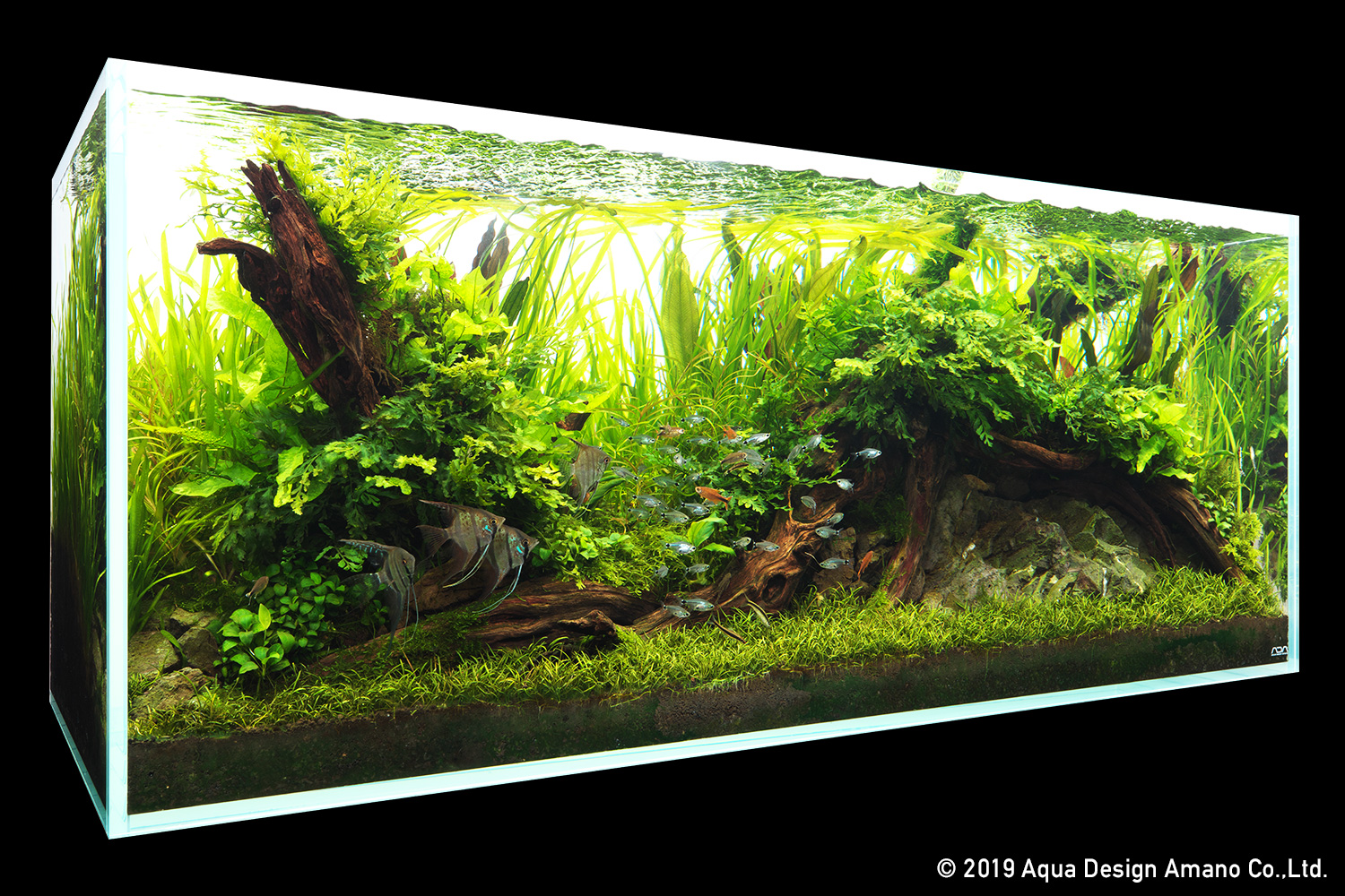 ADA Drop Checker – Aqua Forest Aquarium