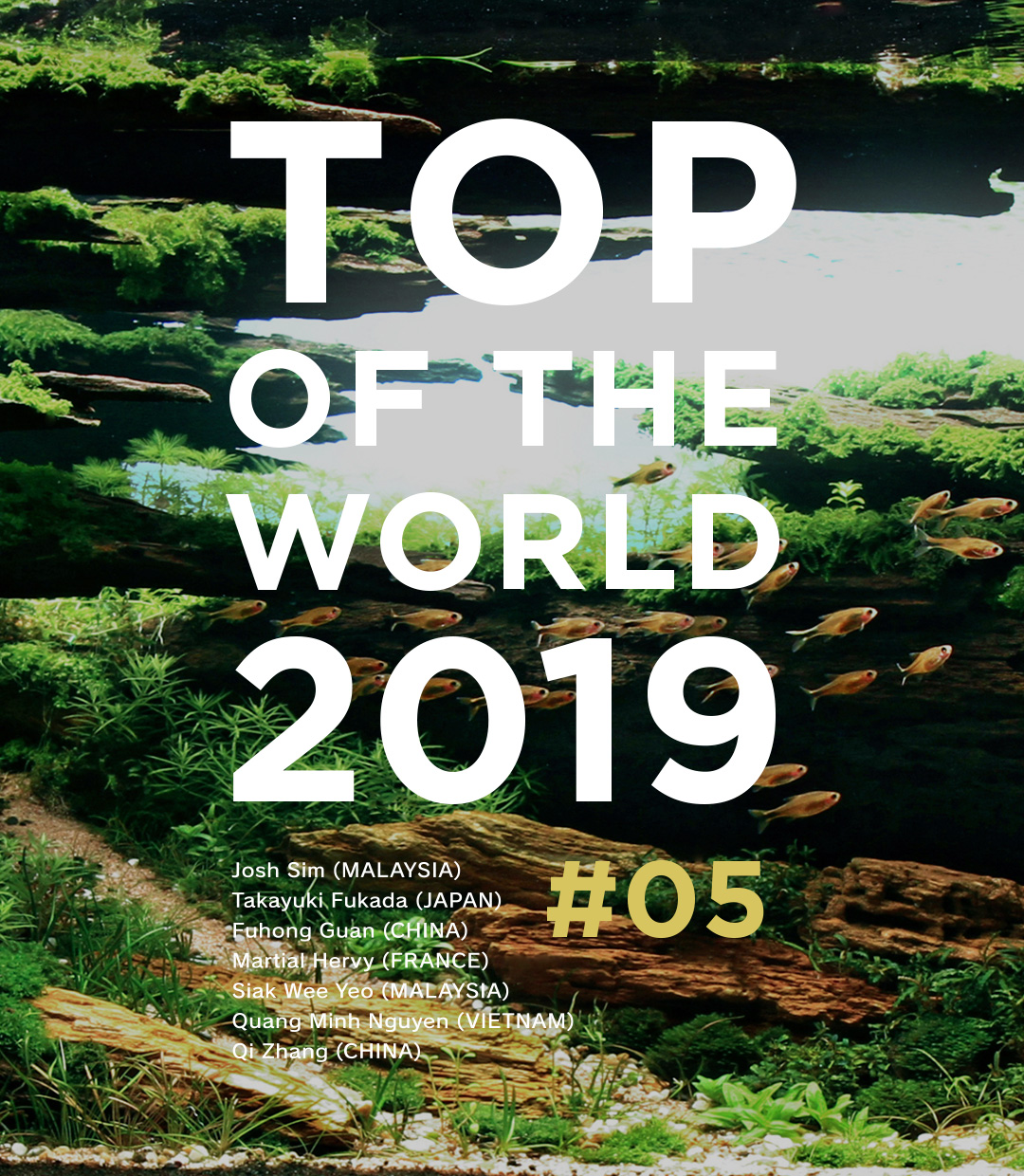 TOP OF THE WORLD 2019 #05
